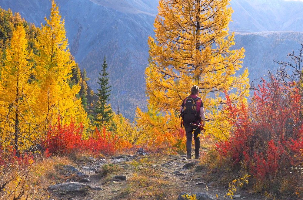 Photograph by Екатерина Шмелева