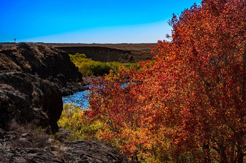 Photograph by Елена Прохорова