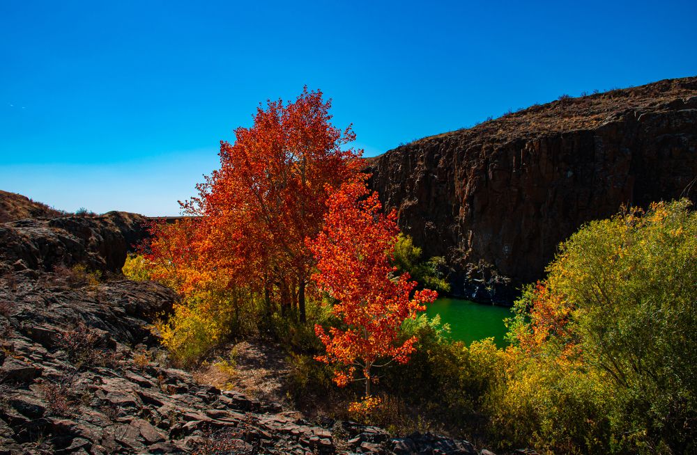 Photograph by Елена Прохорова