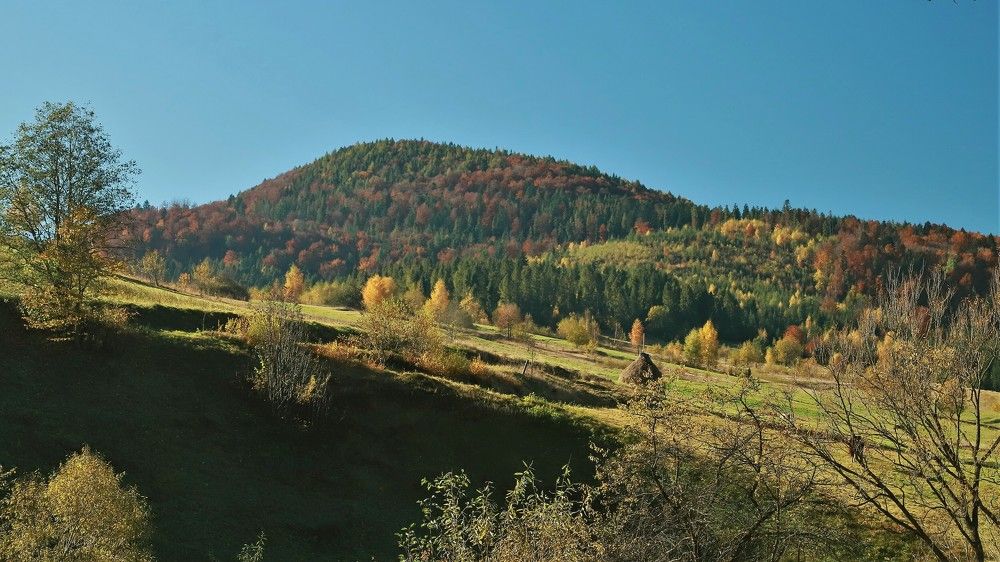 Photograph by Андрей Телибаев