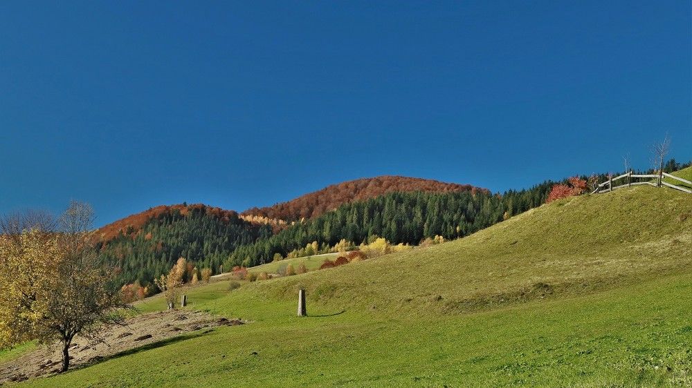 Photograph by Андрей Телибаев