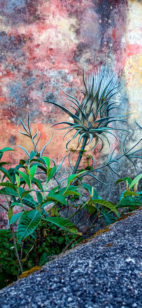 Фотография автора Carlos Machado