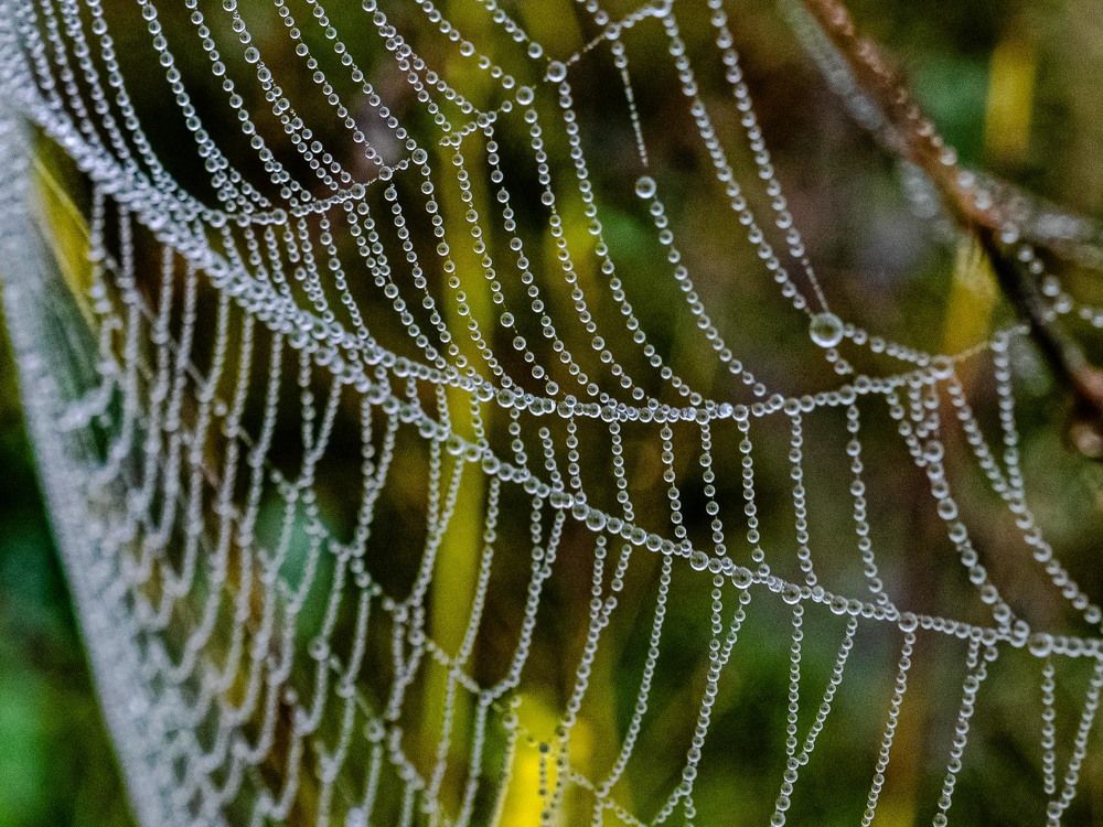 Photograph by mikhail goryachev