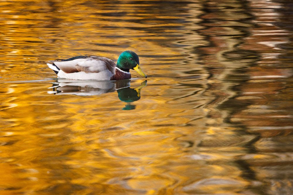 Photograph by Тимофей Шутов