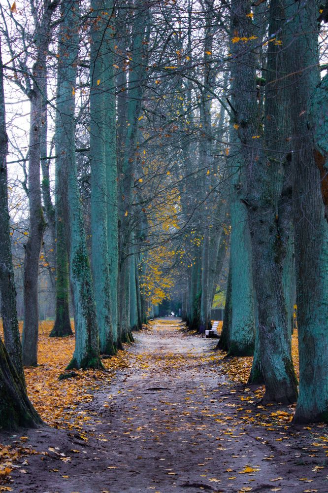 Photograph by Alena Rybakova