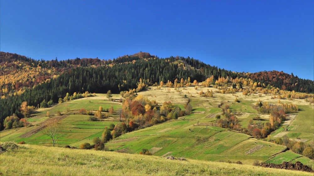 Photograph by Андрей Телибаев