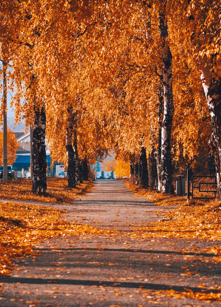 Photograph by Артём Шестаков