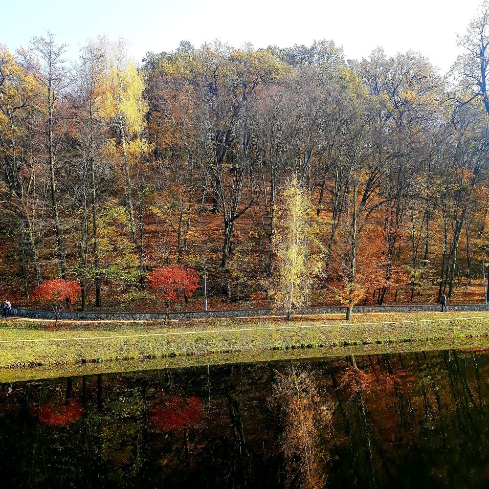 Photograph by Щука Александра