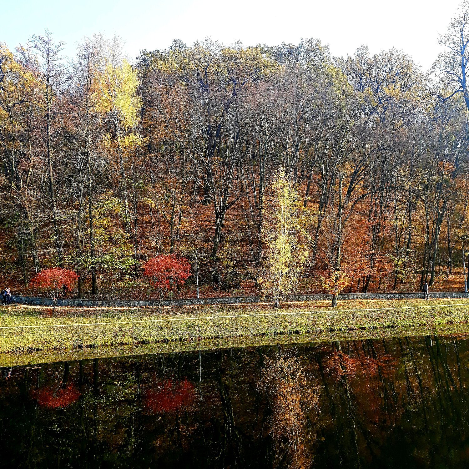 Photo #6539307