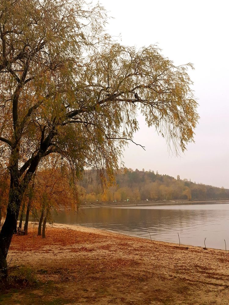 Photo #6539335