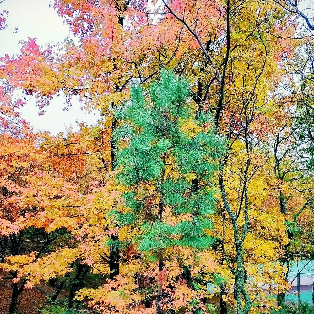 Photograph by Николай Ковальчук