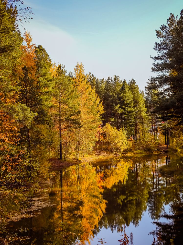 Photograph by Инна Соловей