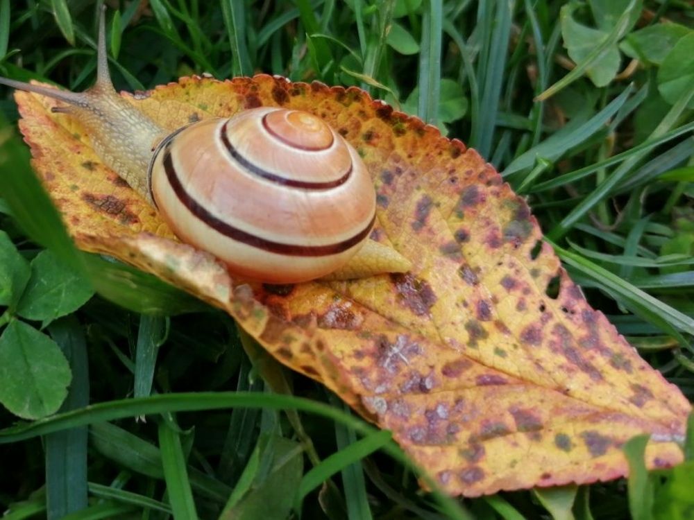 Photograph by Анастасия Ярошевич