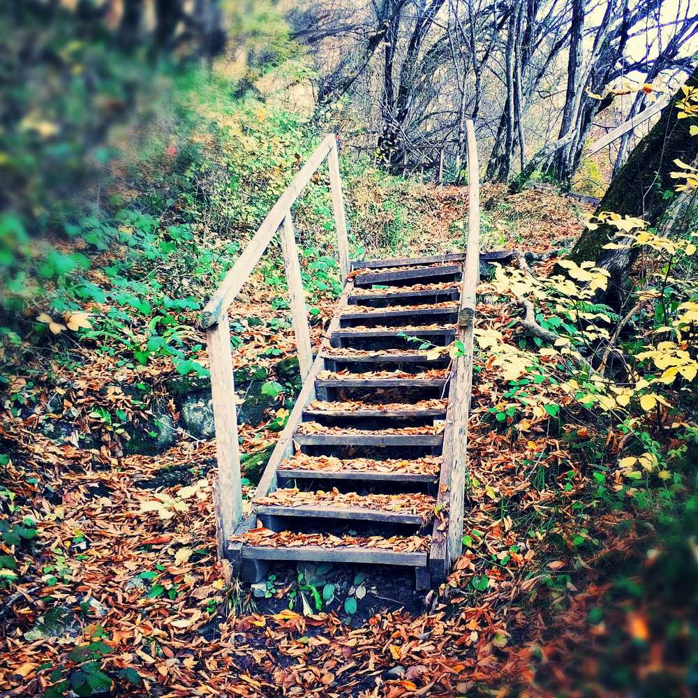 Photograph by Николай Ковальчук