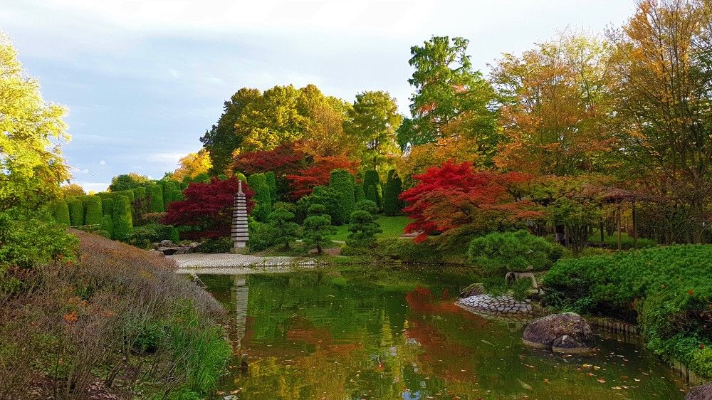 Photograph by Marie G