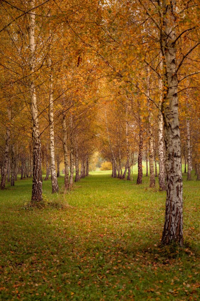 Photograph by андрей зорин