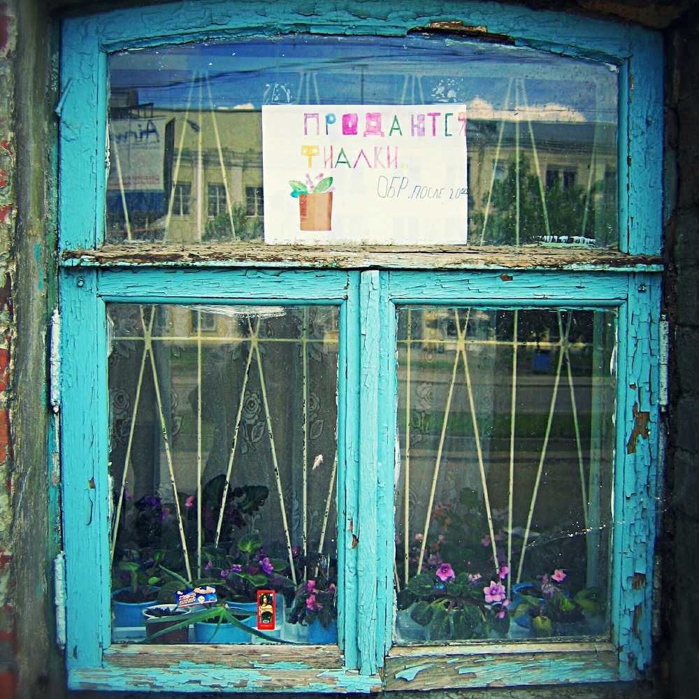 Photograph by Николай Ковальчук