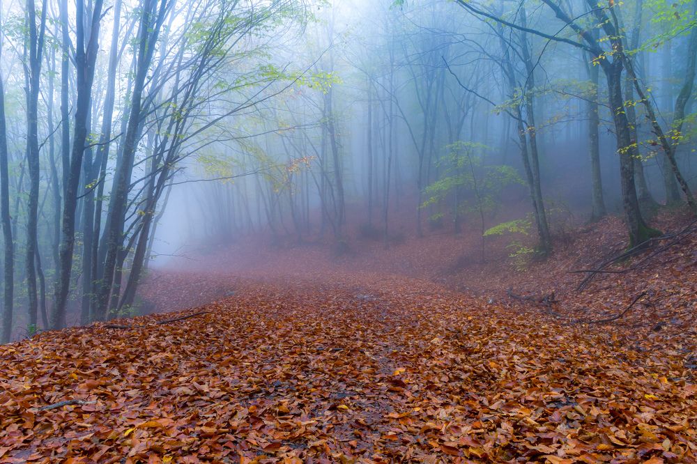 Photograph by Vahid Yavari