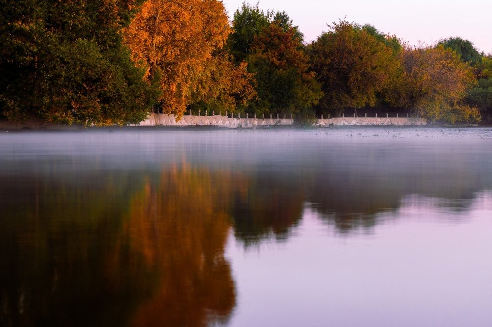 Утренний туман