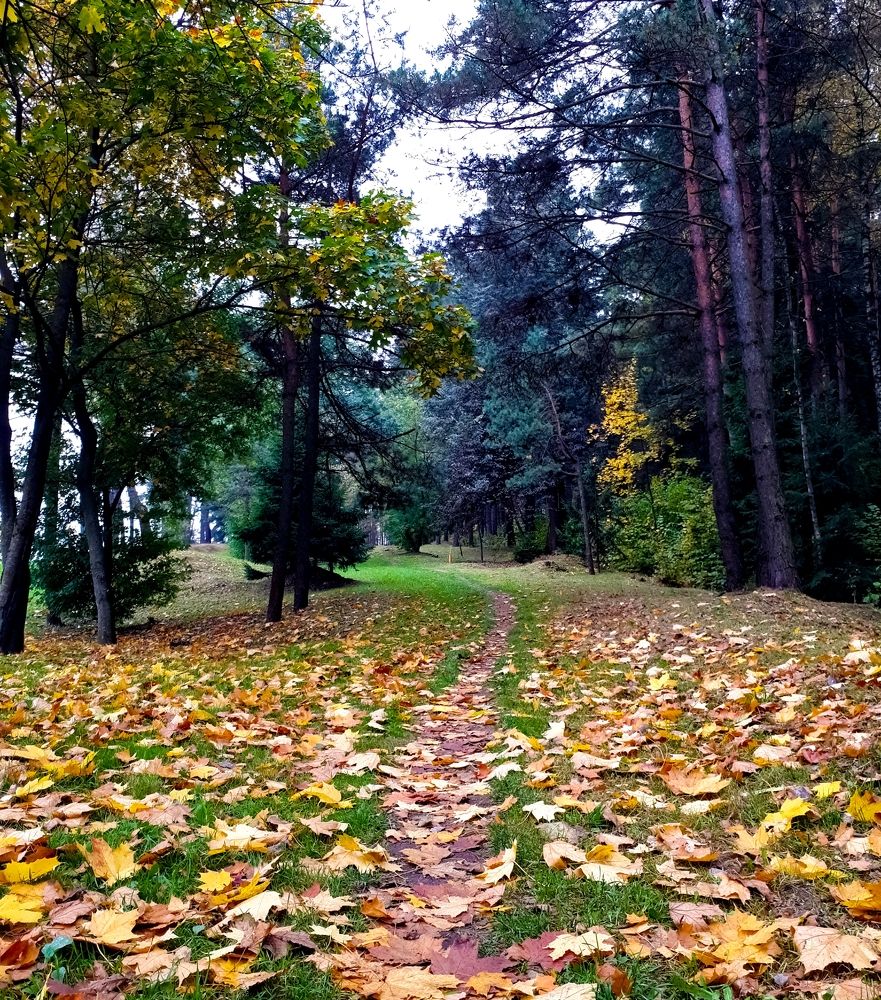 Фотография автора Владимир Строченков