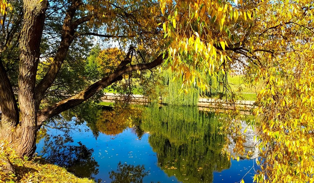 Фотография автора Владимир Строченков