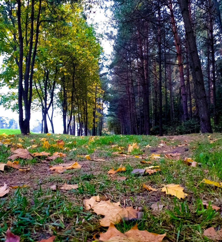 Фотография автора Владимир Строченков