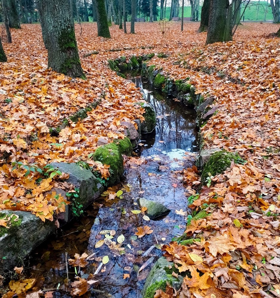 Фотография автора Владимир Строченков