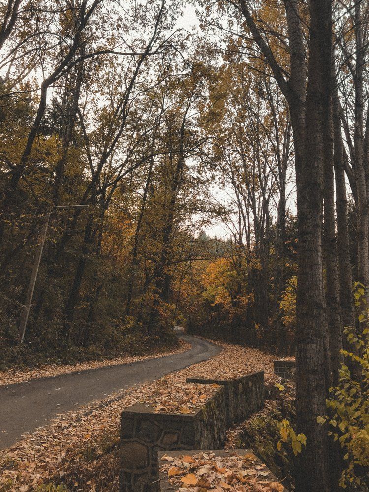 Photograph by Bazil Hamdani