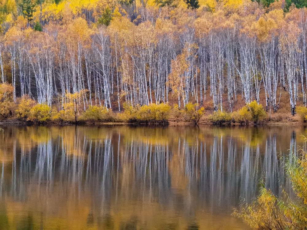 Photograph by Дмитрий Портных