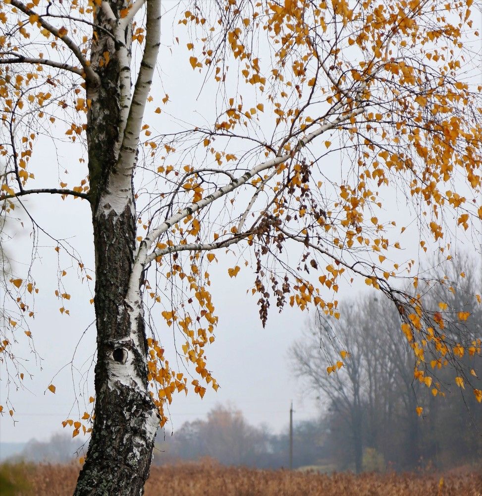 Photograph by Андрей Телибаев