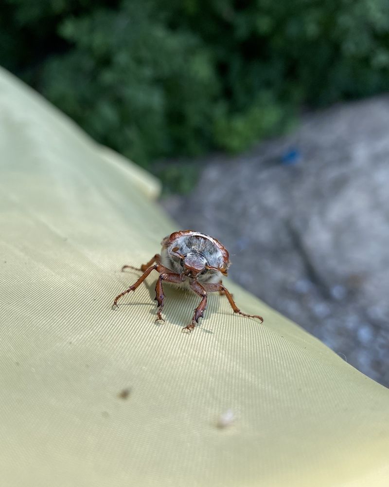 Photograph by Анна Знаменская