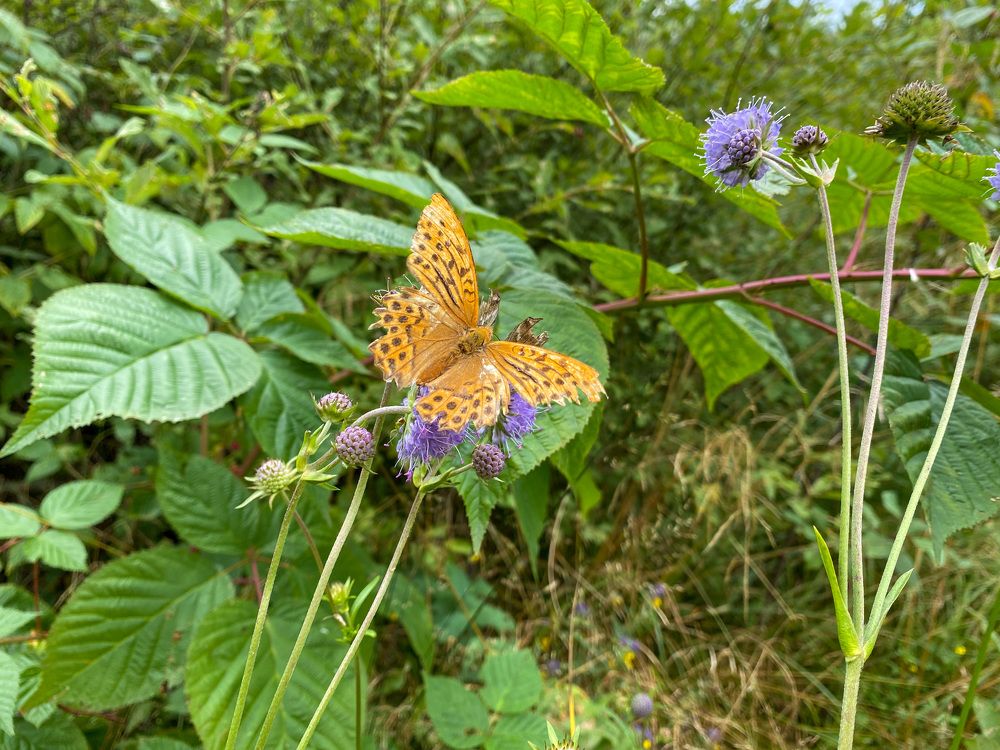 Photograph by Анна Знаменская