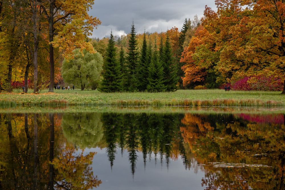 Осенняя симметрия.
