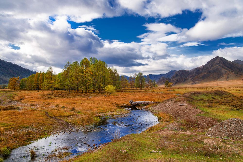 Photograph by Юлия Силина