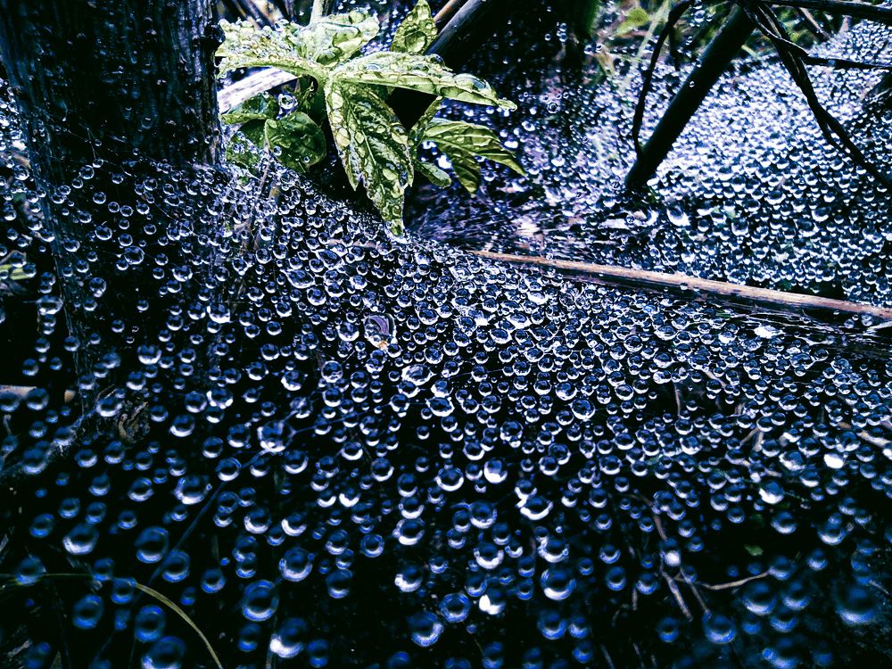 Photograph by Олександр Дормидонтов