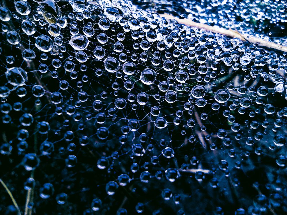 Photograph by Олександр Дормидонтов