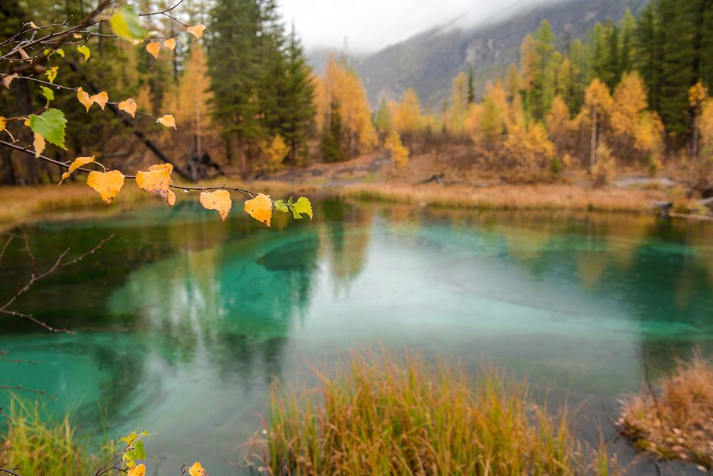 Photograph by Юлия Силина