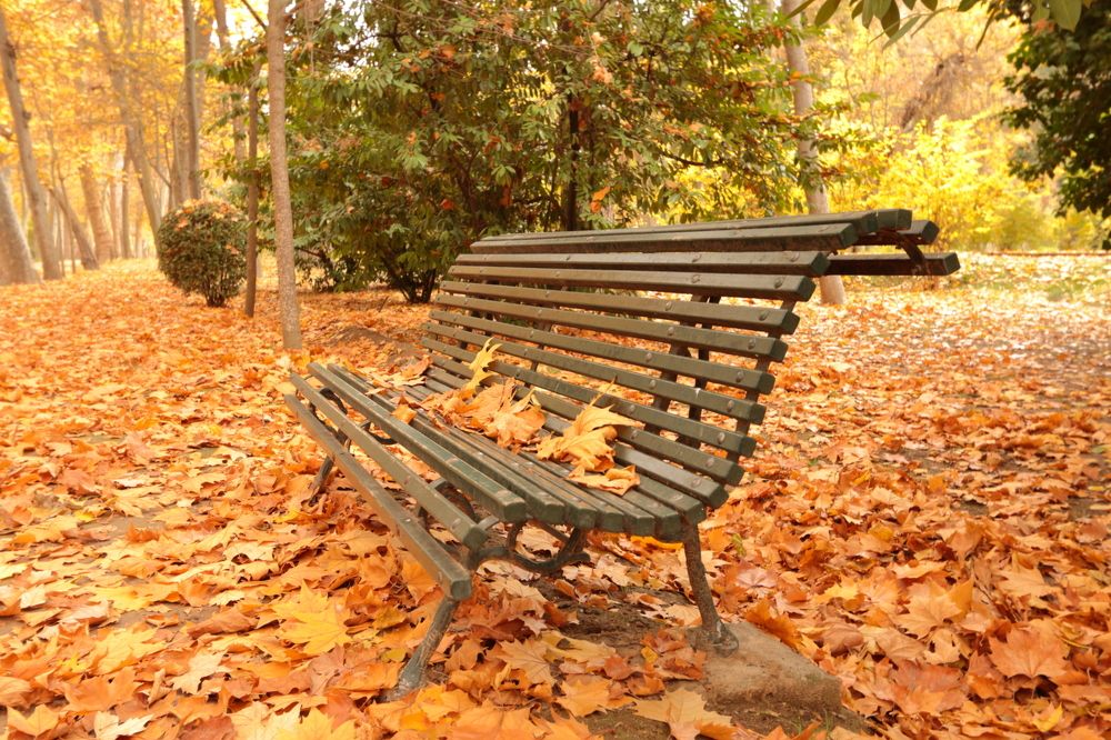 Photograph by Santiago Mata