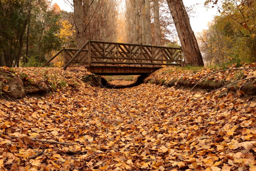 Photograph by Santiago Mata