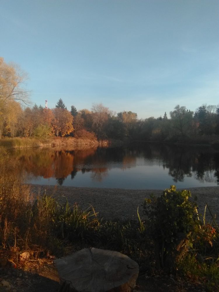 Photo #6539745