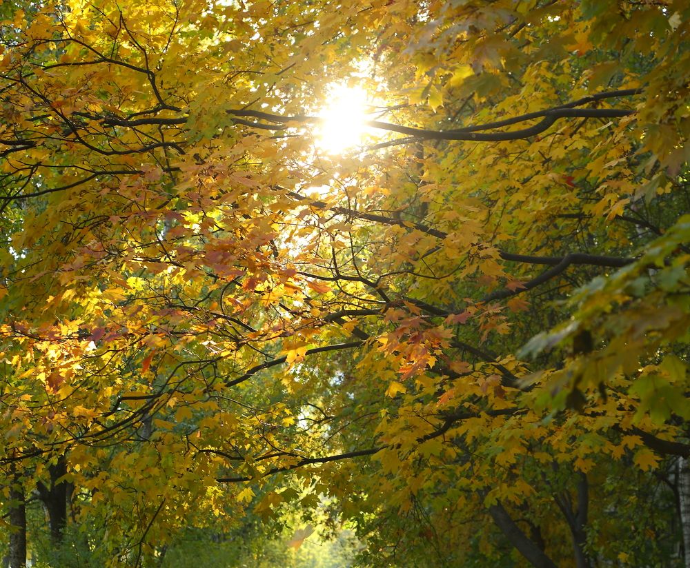 Photograph by Станислав Вершинин