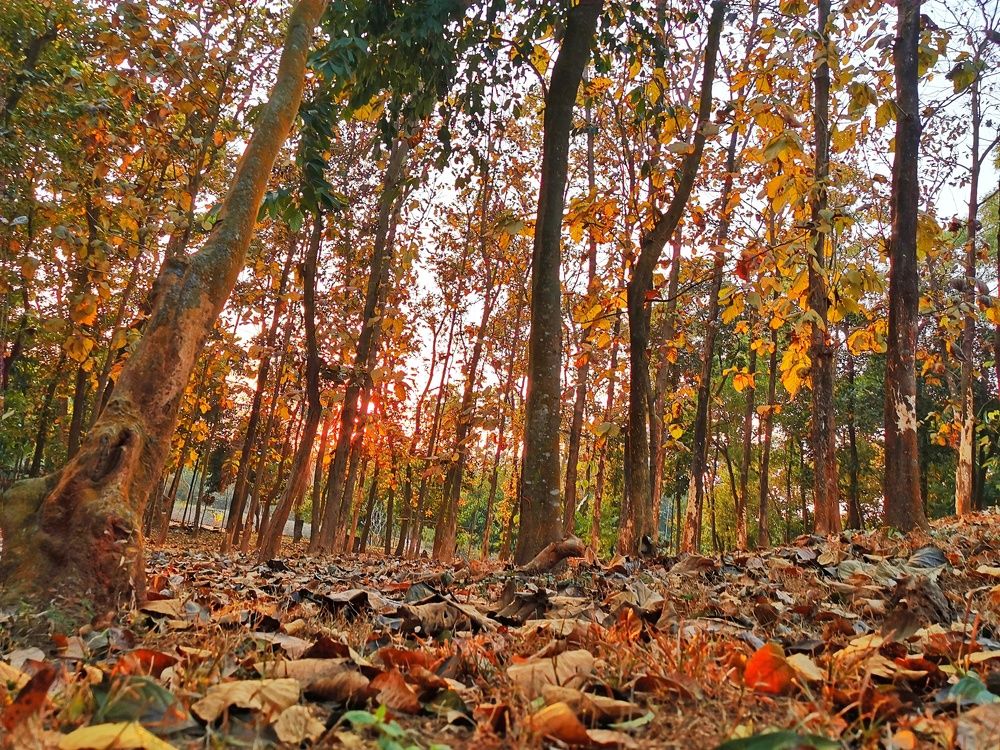 Photograph by Sadman Sakib