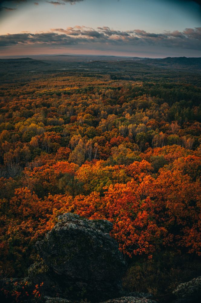 Photograph by Сергей Верховцев
