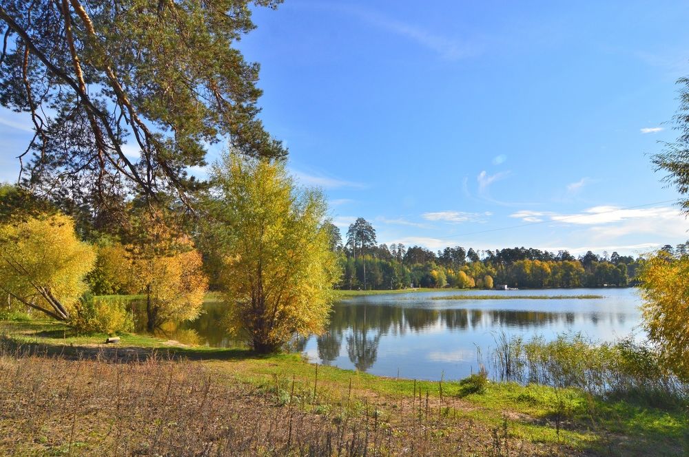 Фотография автора Клавдия Васильева