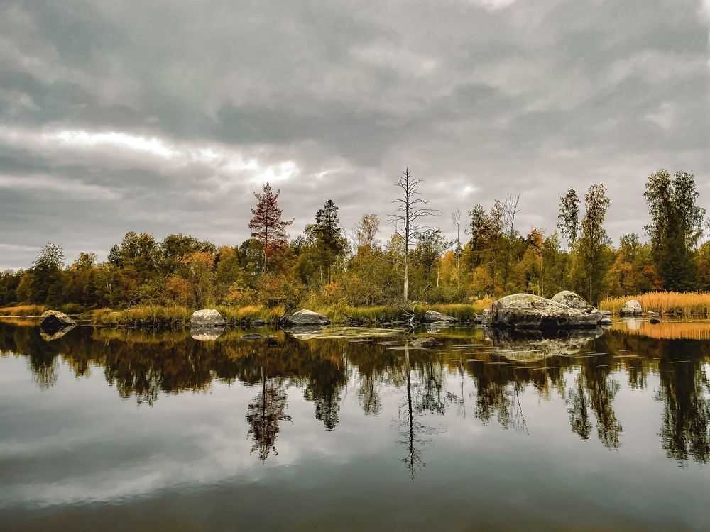 Photograph by Андрей Жуков