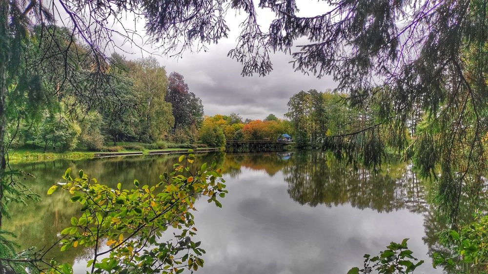 Photograph by Ирина Власенко