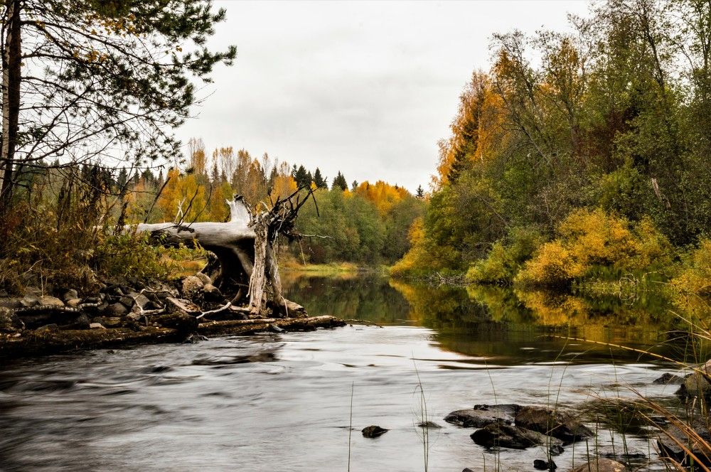 Photograph by Олег Менакер