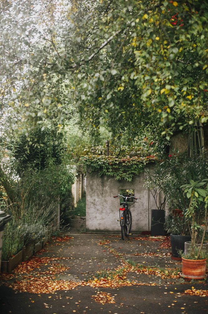 Photograph by ana correia