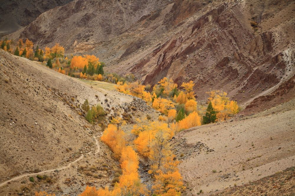 Осень в горах Алтая.