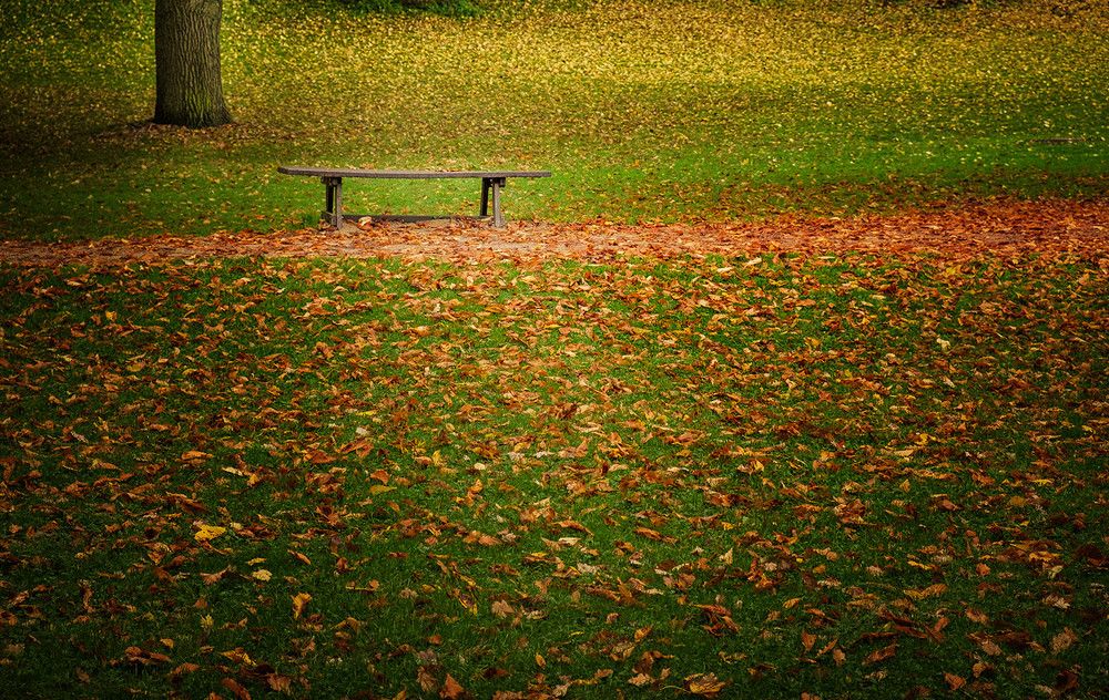 Photograph by Виктория Солодар